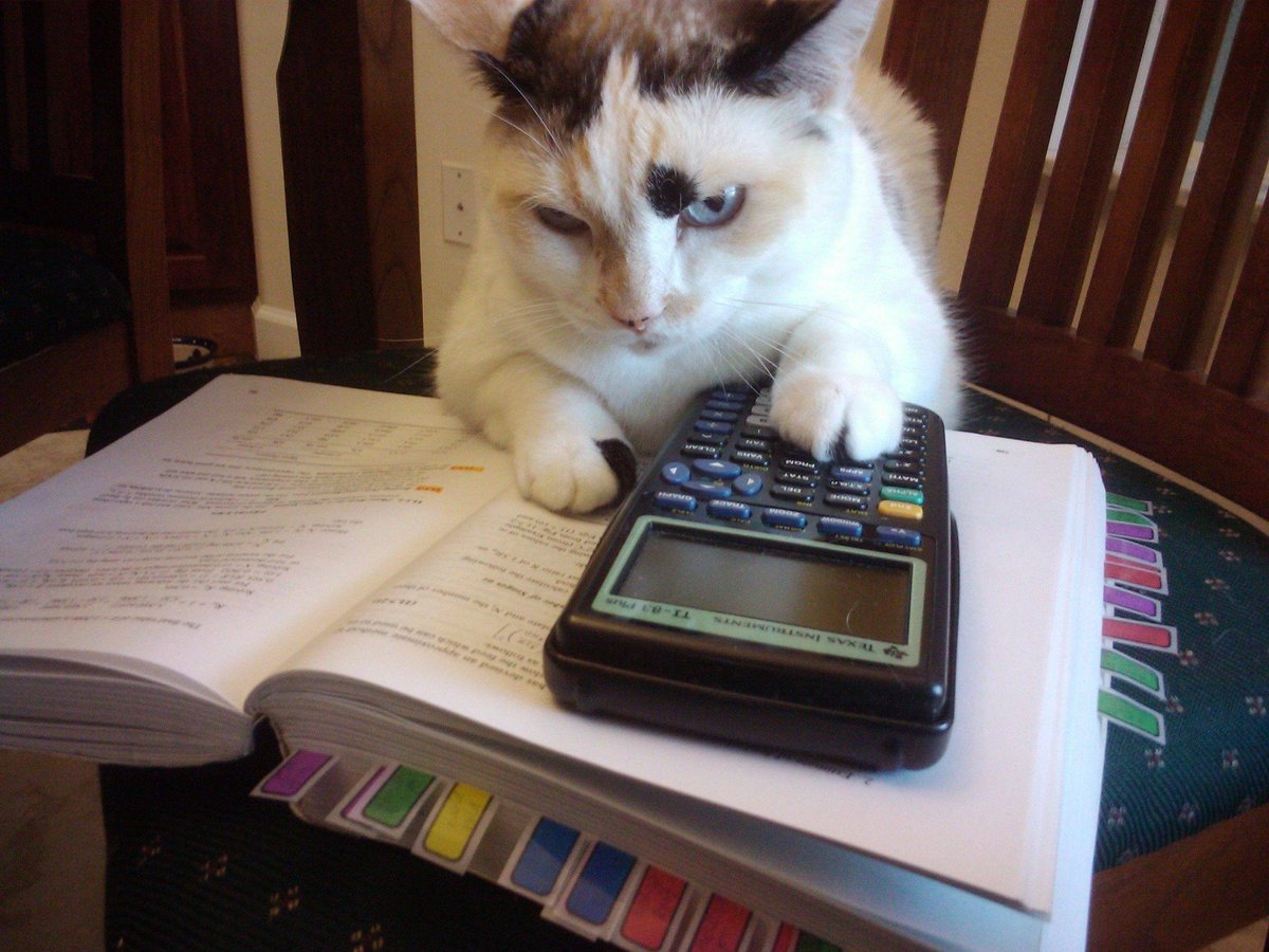 Cat appearing to use a TI-83 Plus graphing calculator on top of a textbook